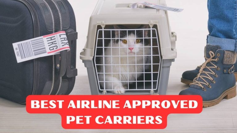 Top 5 Best Airline Approved Pet Carriers Review in 2024