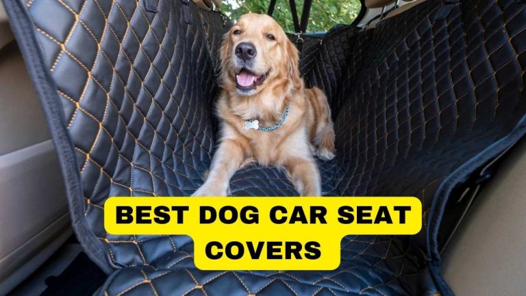 Top Best Dog Car Seat Covers Reviews in 2024