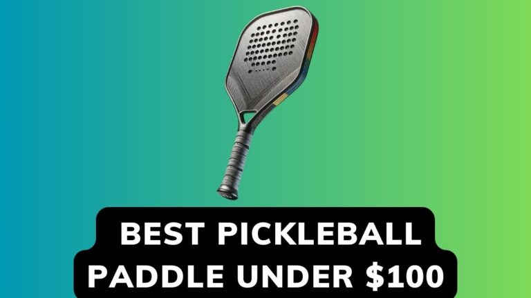 Top 5 Best Pickleball Paddle Under $100 Review in 2024