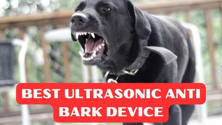 Top 5 Best Ultrasonic Anti Bark Device in 2024